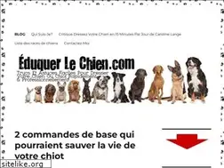 Sites similar to eduquerlechien.com
