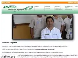 Sites similar to efectivos.mx