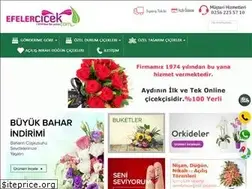 Sites similar to efelercicek.com