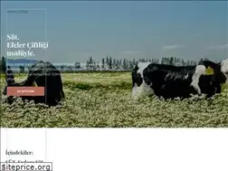 Sites similar to efelerciftligi.com.tr