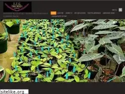 Sites similar to efgorchids.com