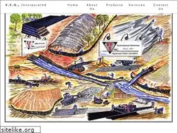 Sites similar to efsinc.net