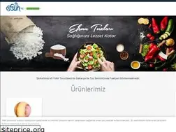 Sites similar to efsuntuz.com