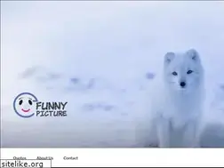 Sites similar to efunnypicture.com