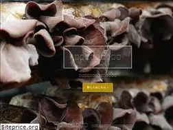 Sites similar to egaonokikurage.com