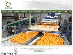 Sites similar to egemas.com.tr