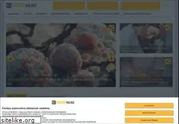 Sites similar to egeszsegkalauz.hu