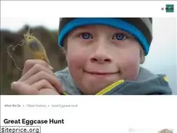 Sites similar to eggcase.org