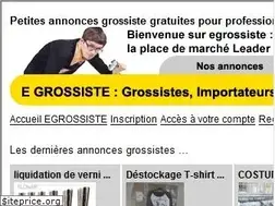Sites similar to egrossiste.com