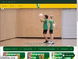 Sites similar to eibernestkorfbal.nl
