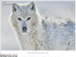 Sites similar to ejazkhanearth.com