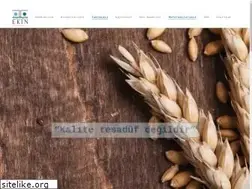 Sites similar to ekindanismanlik.com
