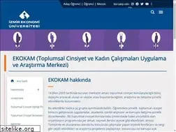 Sites similar to ekokam.ieu.edu.tr