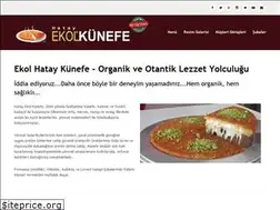 Sites similar to ekolkunefe.com