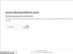 Sites similar to ekolsacekimi.com
