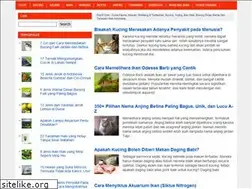 Sites similar to ekor9.com