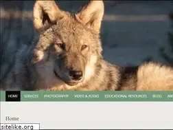 Sites similar to ekoscommunications.com