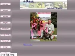 Sites similar to el-aakash.de