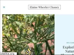 Sites similar to elainechaney.com