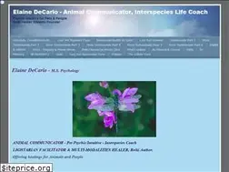 Sites similar to elainedecarlo.com