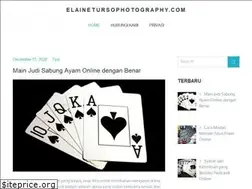 Sites similar to elainetursophotography.com