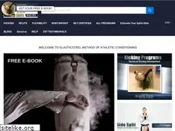 Sites similar to elasticsteel.com