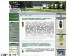 Sites similar to elateridae.com