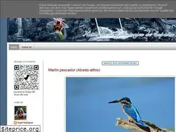 Sites similar to elbarrigueta.blogspot.com