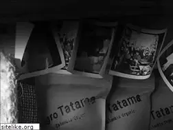 Sites similar to elcafetal.co.kr
