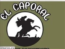 Sites similar to elcaporalidaho.com