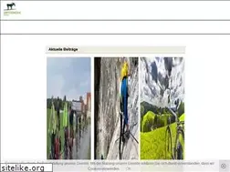 Sites similar to elchblog.de