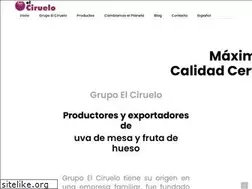 Sites similar to elciruelo.com