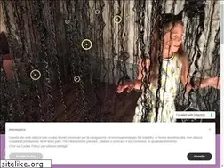 Sites similar to elementidesign.net