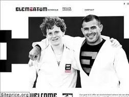 Sites similar to elementumjiujitsu.com