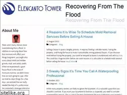 Sites similar to elencantotower.com