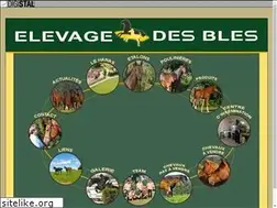 Sites similar to elevage-des-bles.com