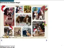 Sites similar to elevagedumiddelweg.com
