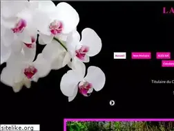 Sites similar to elevagelabellavita.com