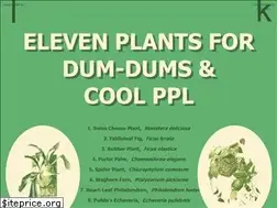 Sites similar to elevenplantsfordumdums.com