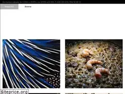 Sites similar to elgallinerodesandra.es