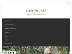 Sites similar to eliasfischer.de