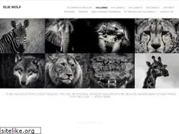 Sites similar to eliewolf.com