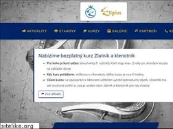 Sites similar to eligius.cz