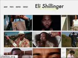 Sites similar to elishillinger.com