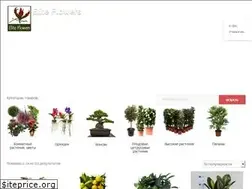 Sites similar to eliteflowers.com.ua