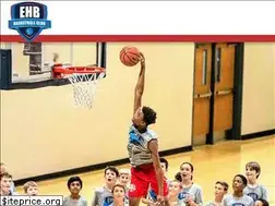 Sites similar to elitehoopsbasketball.com