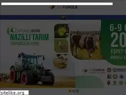Sites similar to elitfuar.com