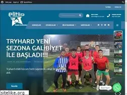 Sites similar to elitlig.com