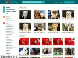 Sites similar to elitpet.net