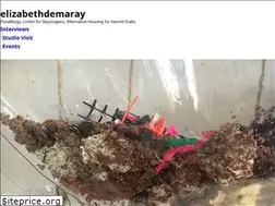 Sites similar to elizabethdemaray.org